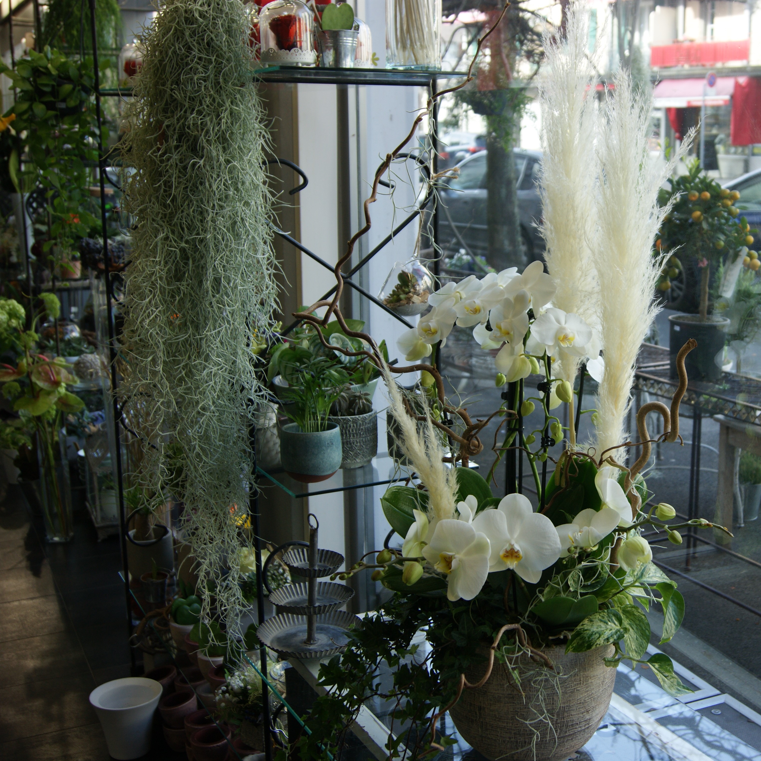 Orchidées avec plantes et décorations  N°27 H