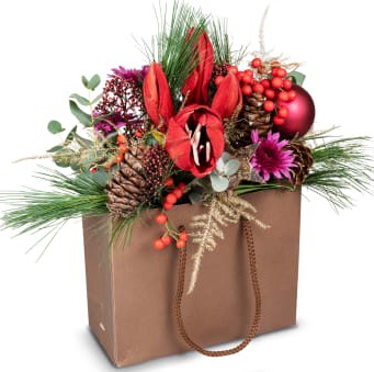 Esprit de Noël / Saison N°8