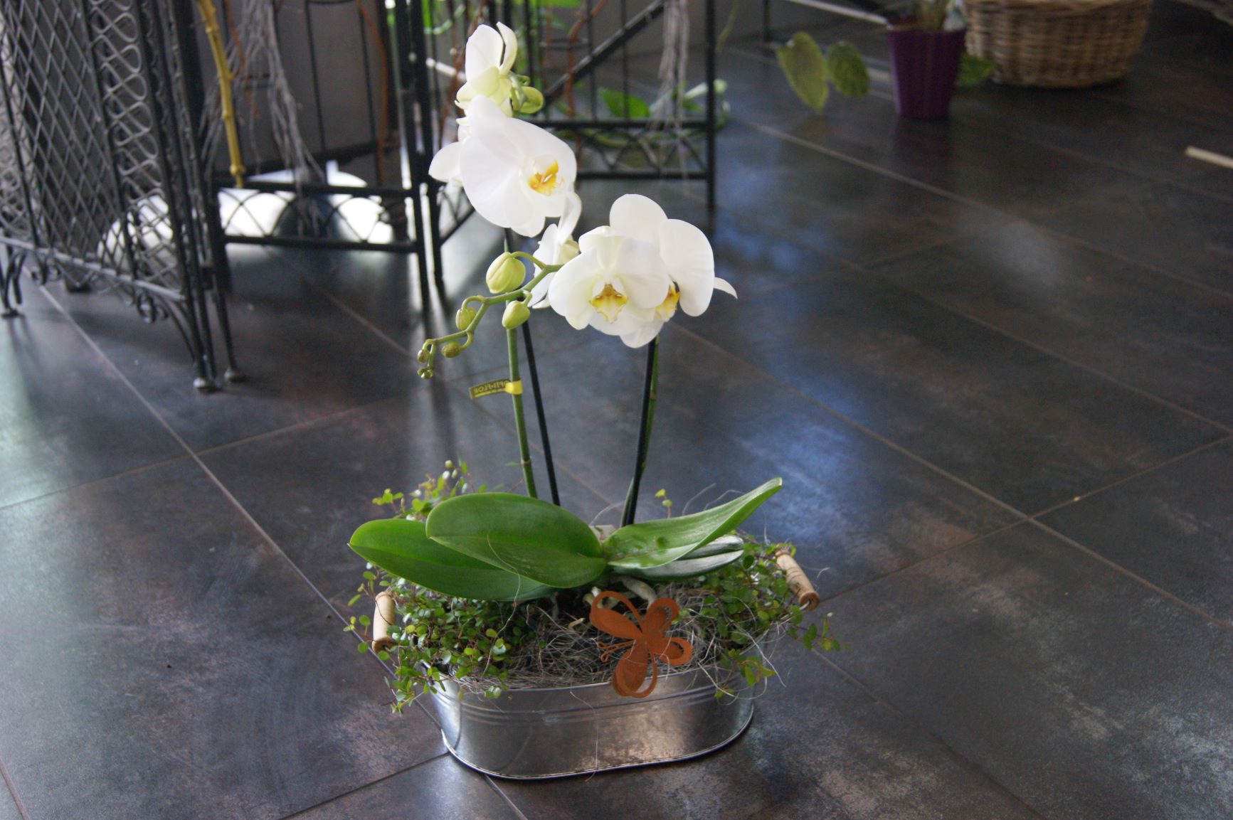 Orchidée blanche décorée avec cache-pot métal   N° 8