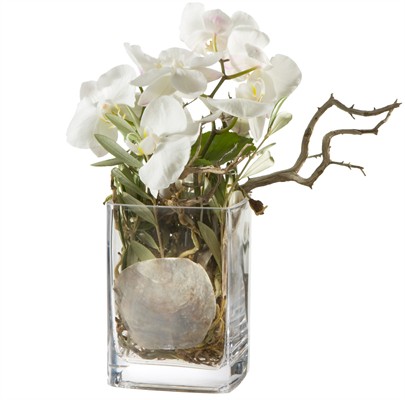 Des orchidées, vase inclus N°13 H